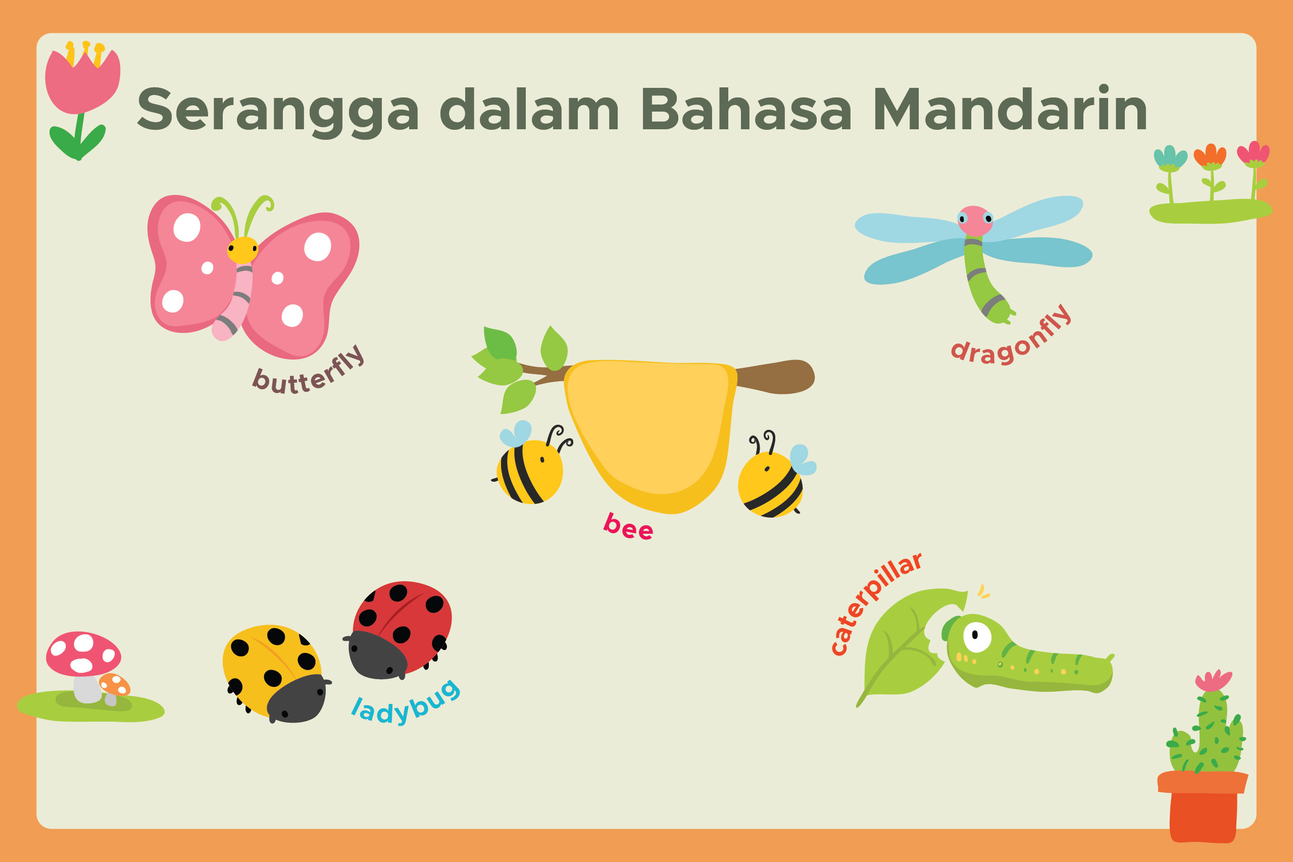 Belajar 40 Nama Serangga dalam Bahasa Mandarin